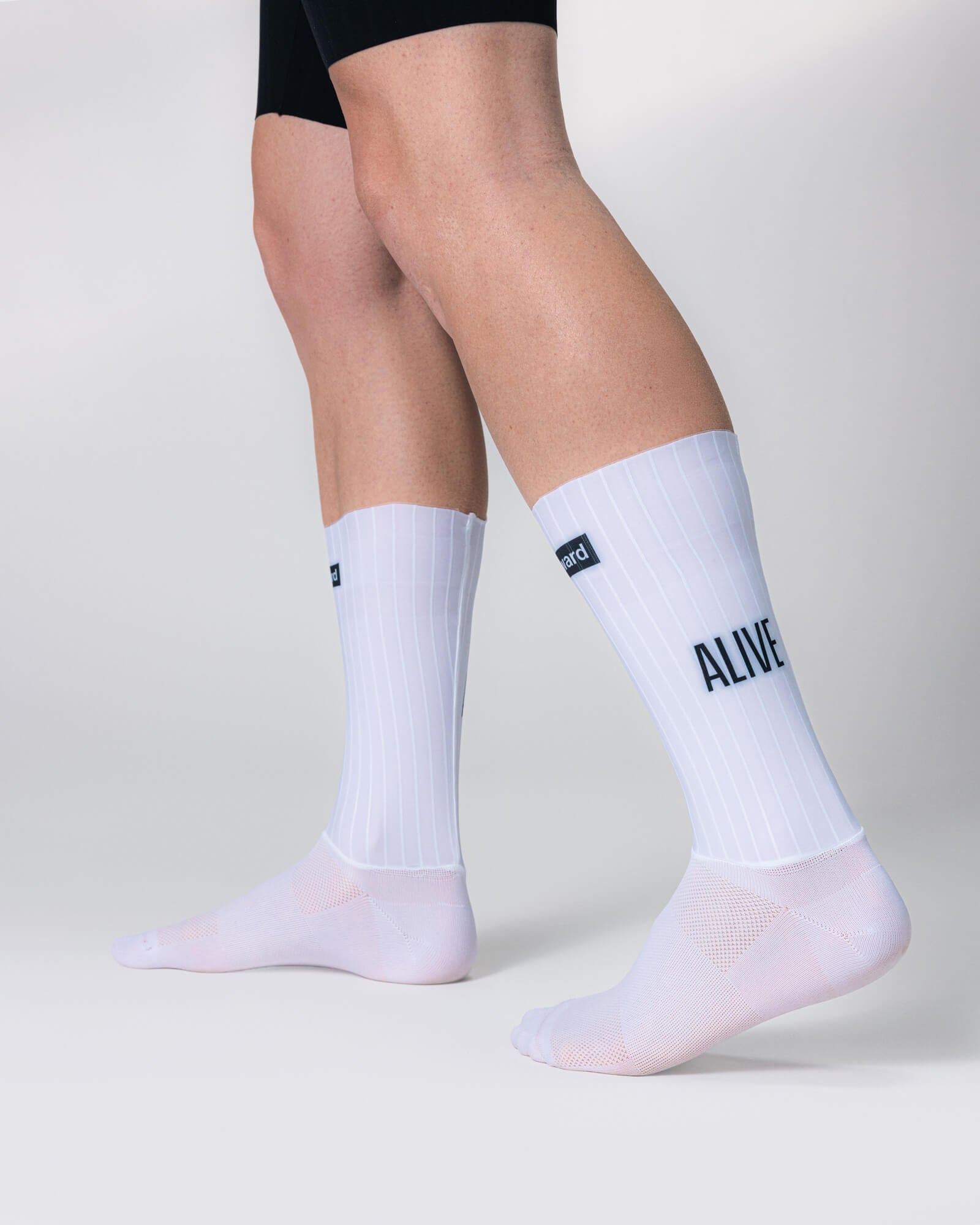 Wind Socks